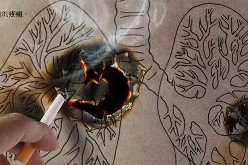 1eacbfbd70d46634f982921fec21cc04.jpg 147.jpg