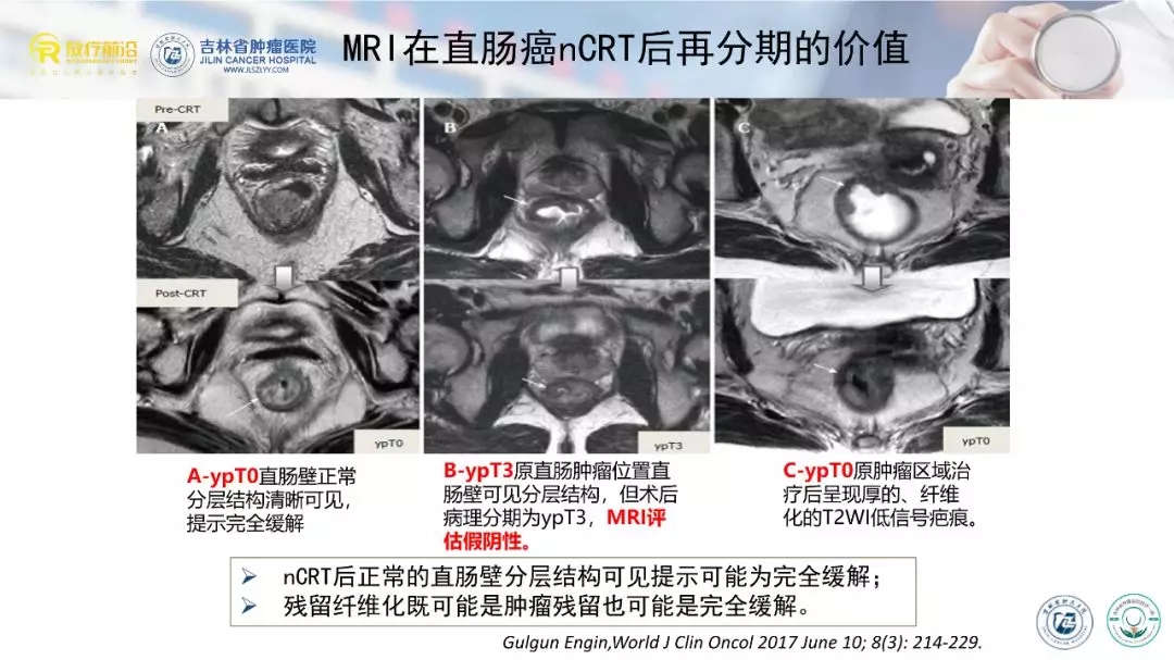 92d86dbfe124c2f67b91bf9a24ee869c.jpg 640.webp (6).jpg