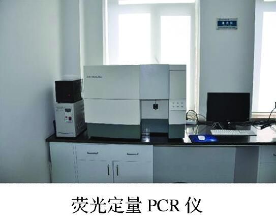 2c26d5c900cc5390b2d478ee1876c5fe.jpg 100.jpg