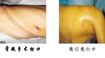 5afd76250d97a6bae028abcc76c0fb20.jpg 11.jpg