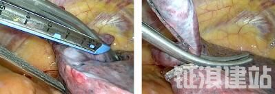 703377c893b0cacde73be31f450a3762.jpg 11.jpg