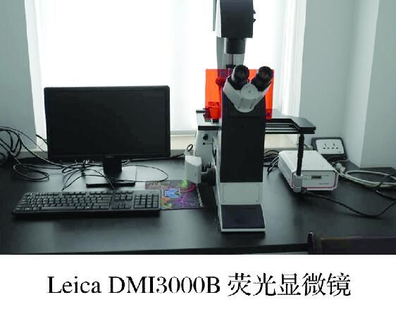 8fff72fddb6cae523709100a35bbea0f.jpg 100.jpg