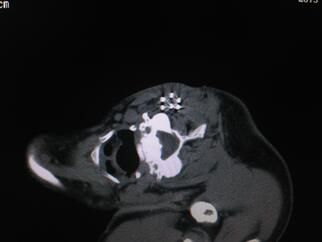 f0680ff1416e11f8c5d0dd1b38259c10.jpg 100.jpg