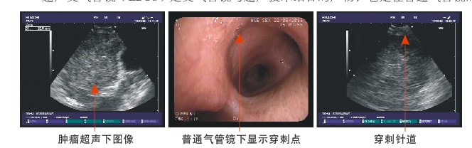 27dedd76fc571b31c4bc8b9a42971d58.jpg 100.jpg