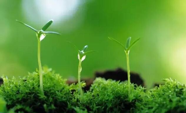 588ebdf720d2e7af9b2b72c75673a5c9.jpg 640.jpg