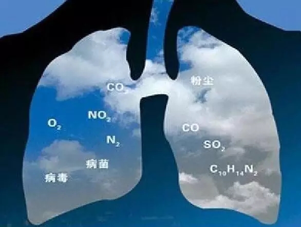 78903e4fcb871e1b85ca9166a2158401.jpg 640.webp (3).jpg