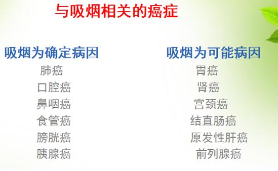 ec69332a4aeb6246d6c0ddb3ba127dfb.jpg 100.jpg