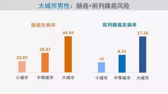 72d0b2aad5cbbe940b24c189392d1a89.jpg 640.webp (8).jpg