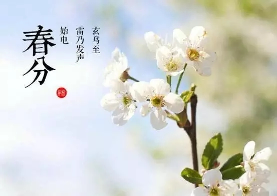 778112ca821bd8a176f8ffd681cb3574.jpg 640.webp.jpg