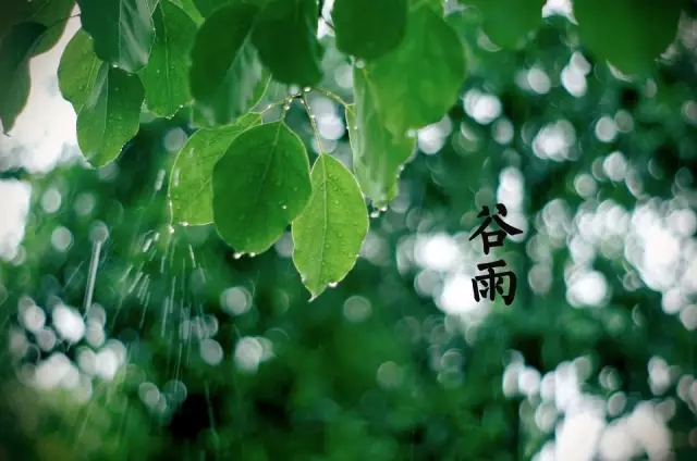 7cfac99b657ceff1145da10f7a87b3c1.jpg 640.webp.jpg