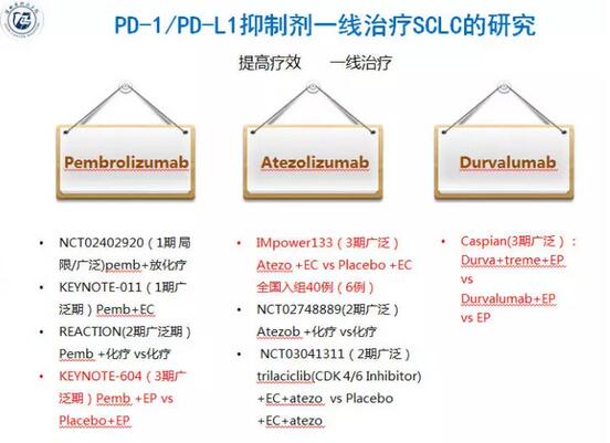 e2b946303d1730a3dd2c8b93d87ce62e.jpg 4.jpg