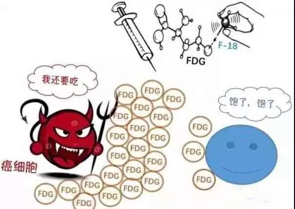 287267ba8392b0ca8d25ac548563b3b5.jpg 640.webp (1).jpg