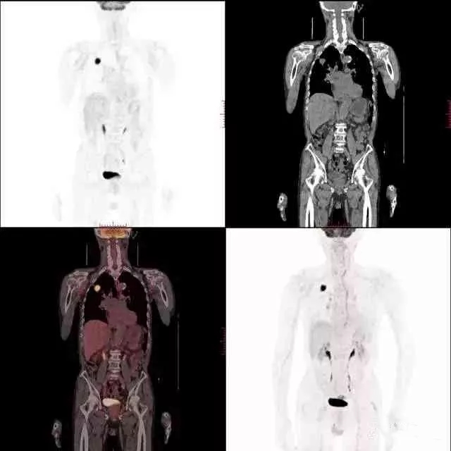 8ce5af09dd2375c6551881ac918ddd94.jpg 640.webp (2).jpg