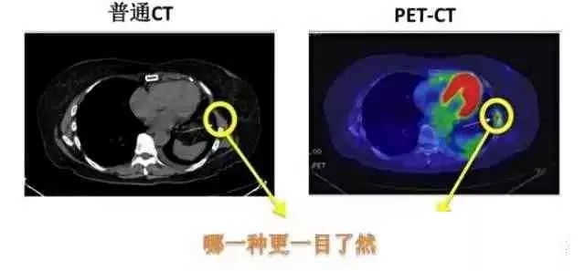 95601de20fddbd1997ff12012eb47cc5.jpg 640.webp (1).jpg