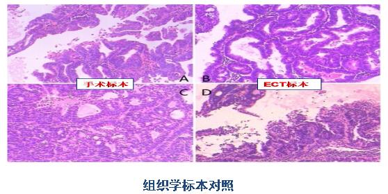 acc811228b91b721ad6c94986c09f476.jpg 3.jpg