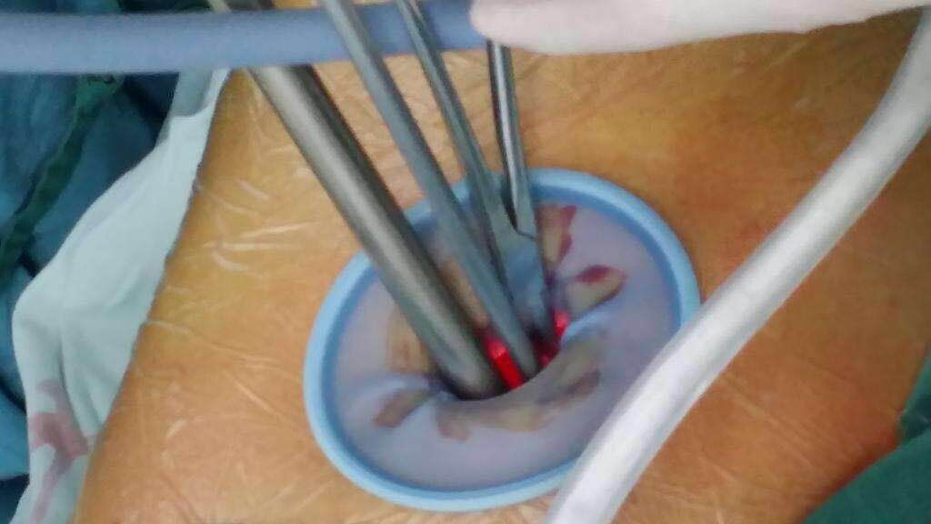 1d692a9afe52bba8095ab3788fb19536.jpg 2.jpg