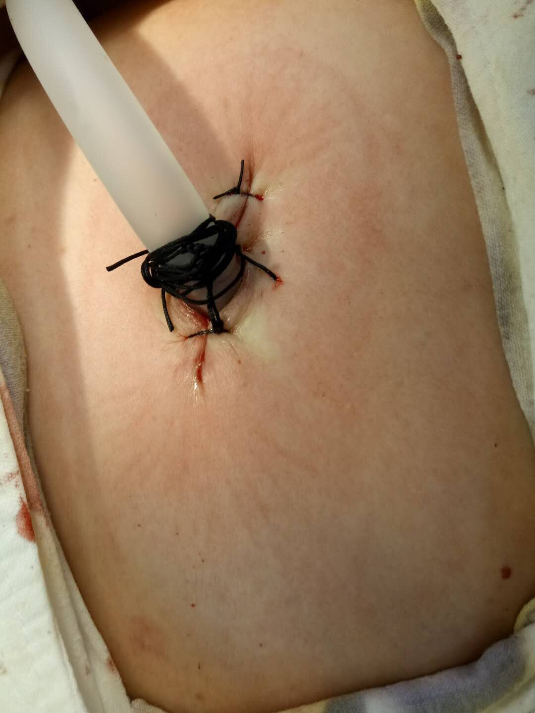 c40c2f4ebe71aa43a3546d084d41ec08.jpg 1.jpg