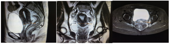 e79edb8fb367b55575ebaca6bfb2005e.png 1.png