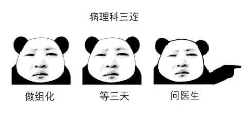 b125327959d3c9a906cffe53a1047362.jpg 微信图片_20181112091308.jpg