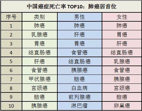 07119c853c006eb53bc74c005ff5d694.jpg 640.webp (10).jpg