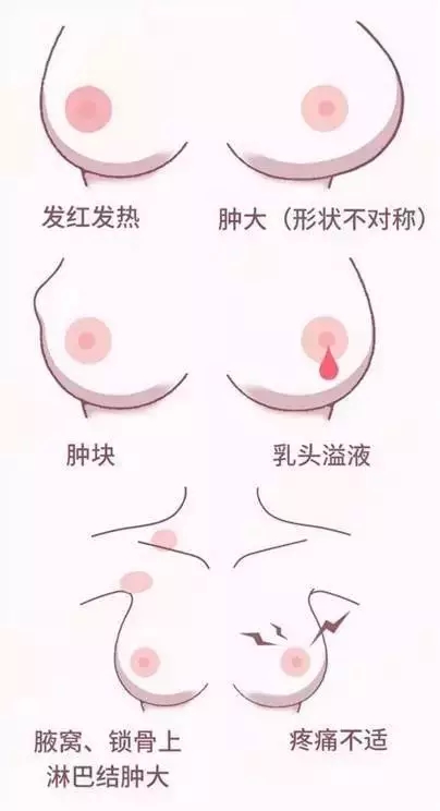 1f73a787b830e977630e656df5fe9aac.jpg 640.webp (3).jpg