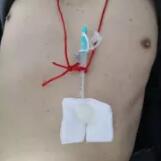 283a2ef0c8b0b318be46ef42e9aa23a6.jpg 640.webp.jpg