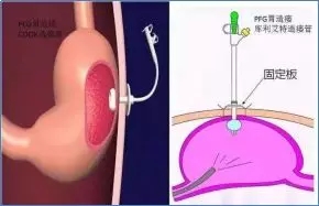 69a5ad595239d1a24bf8ed4d27782058.jpg 640.webp.jpg