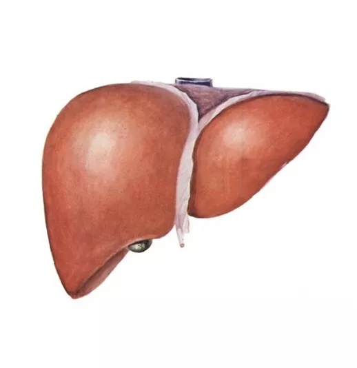 48e1405c48769f995621d43e167fdf9a.jpg 640.webp (5).jpg