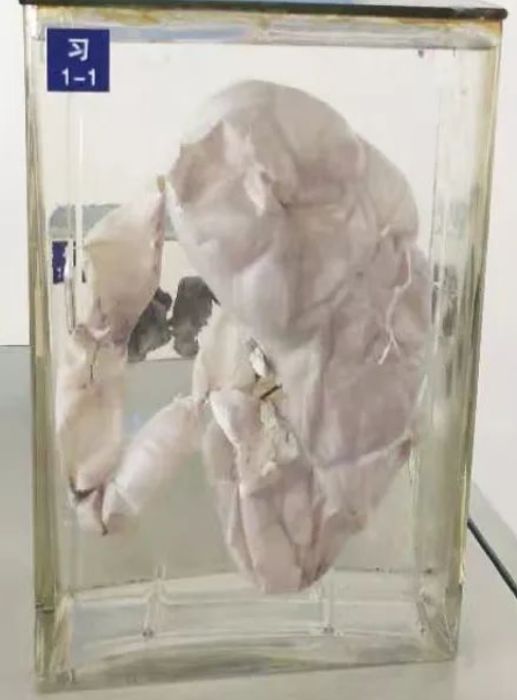 c4743f8c594d1a5fb913e9449e9e7613.jpg 640.jpg