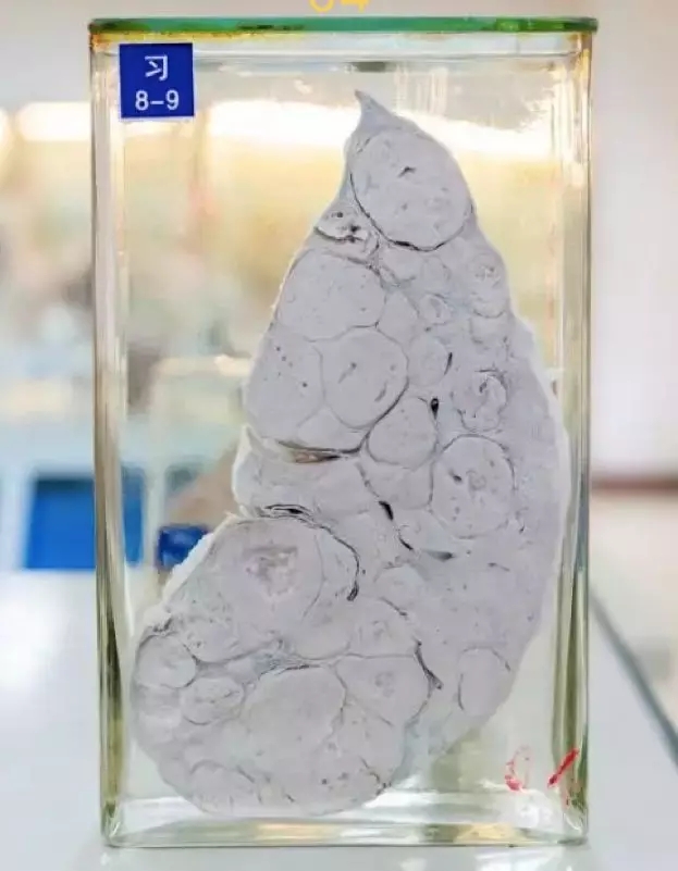 f97fb153c72dadb605d04c37f44a724f.jpg 640.webp (4).jpg