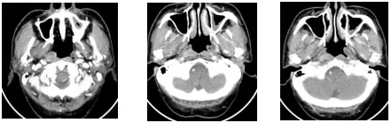 0d2e411eb0c0417382e7fbe42cb96481.jpg 640.webp (4).jpg