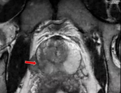 9e458283eea95b0c6121f7f0305f8226.jpg 微信图片_20210205211951.jpg