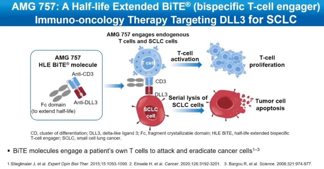 85dd010a86d794316915084ff5ecbfbf.jpg 微信图片_20210401173707.jpg