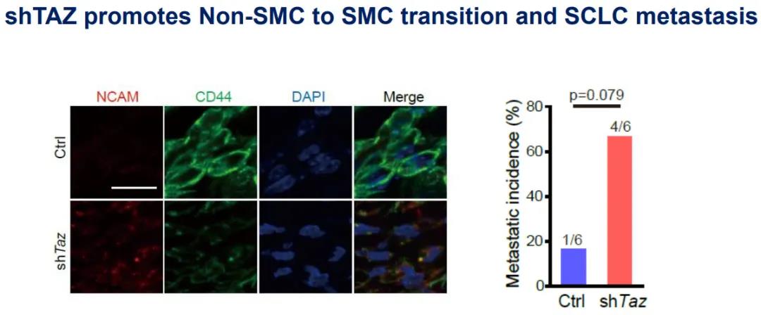 4ed6e7243a3f962dba3bf10deab2e0be.jpg 微信图片_20210913182332.jpg