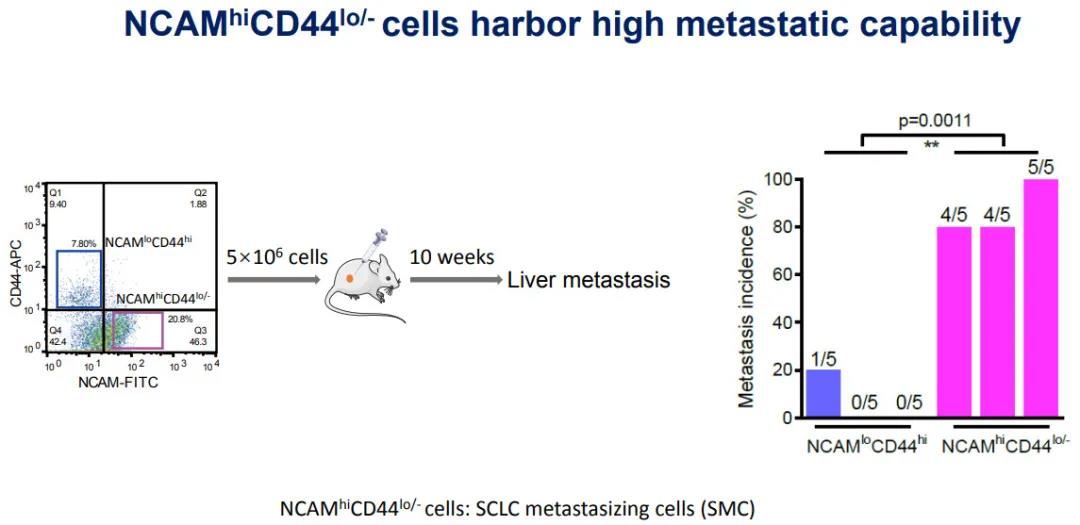 532b1c435987fcfae77150e53e1db05d.jpg 微信图片_2021090916225000000000.jpg